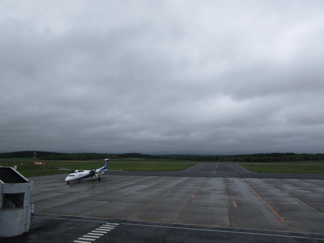 20250615_101326.JPG