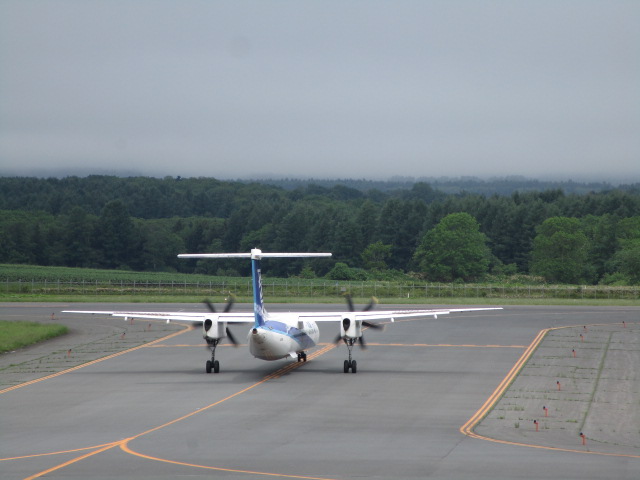 20250616_094404.JPG