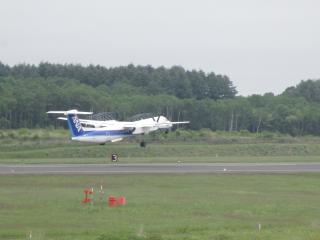 20250616_094522.JPG