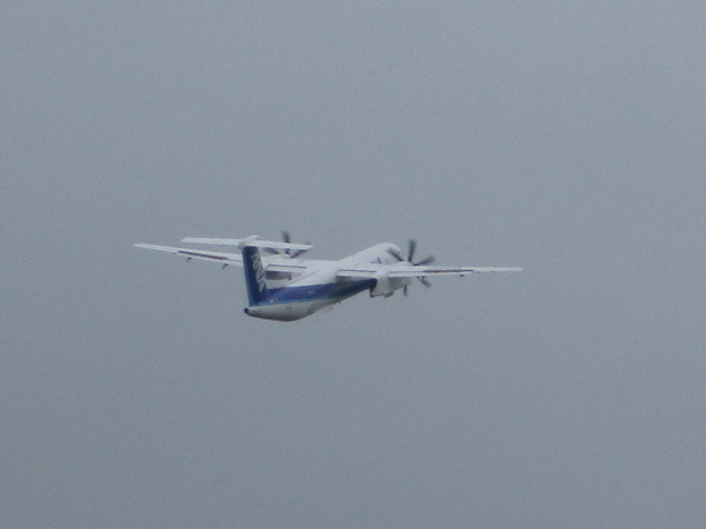 20250616_094538.JPG