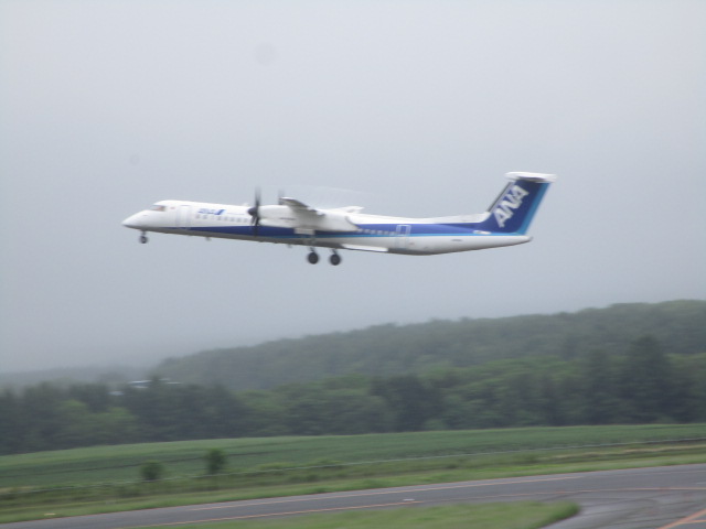 20250617_094905.JPG