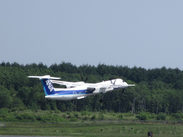 20250618_094136.JPG