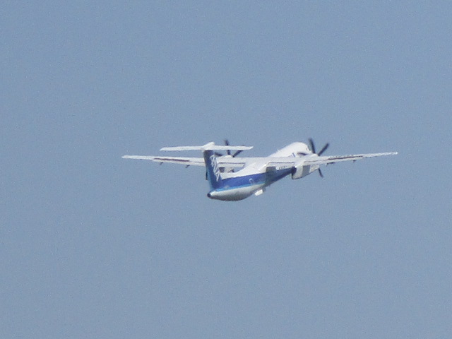 20250618_094158.JPG