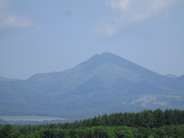 20250618_094311.JPG