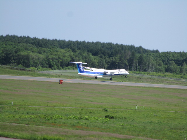 20250619_104801.JPG