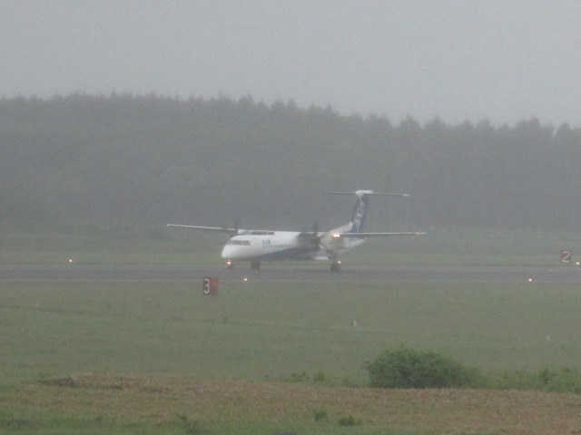 20250621_102150.JPG