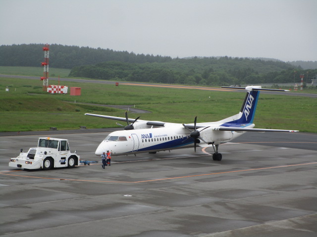20250622_095235.JPG