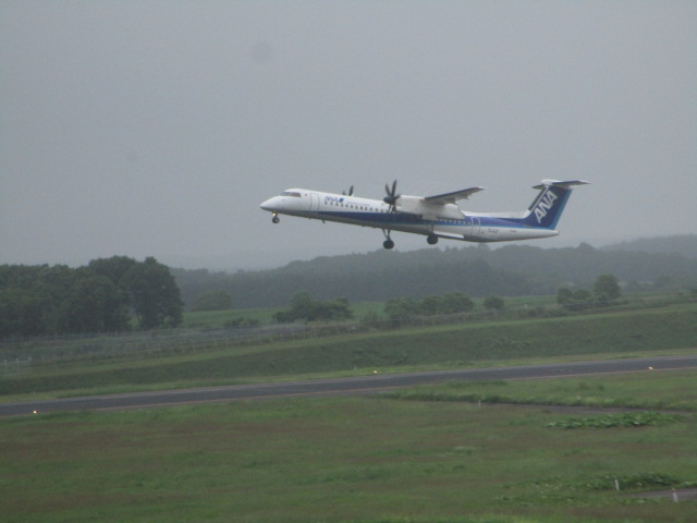 20250622_095502.JPG