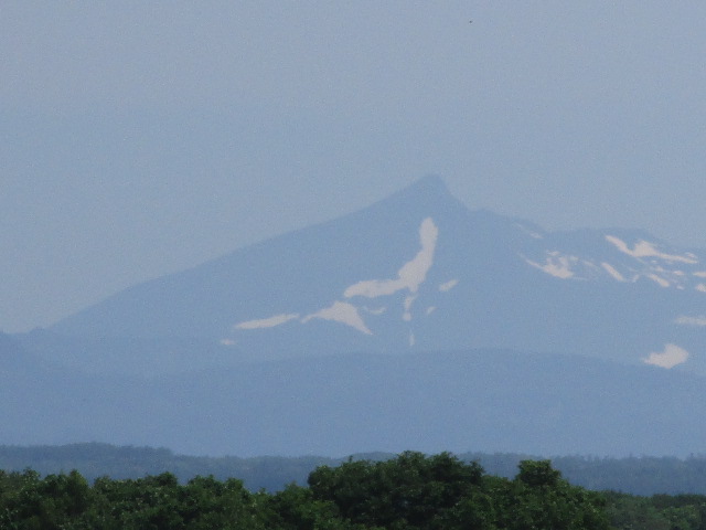 20250623_094711.JPG