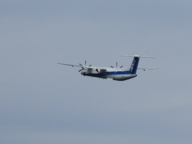 20250623_094954.JPG
