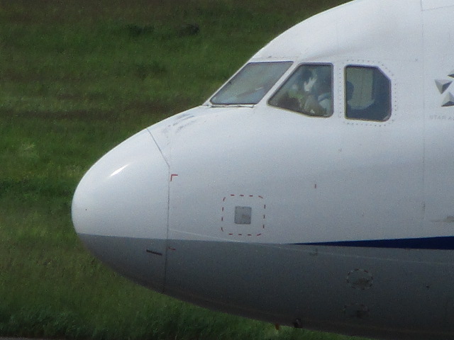 20250623_155317.JPG