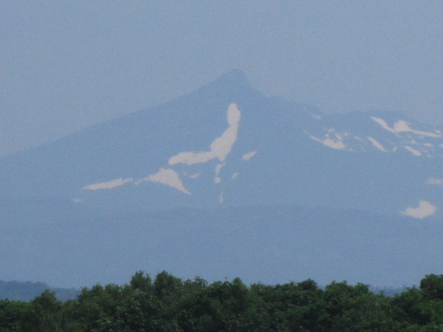20250624_104332.JPG
