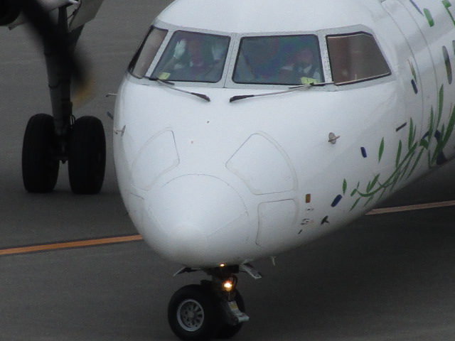 20250626_101548.JPG