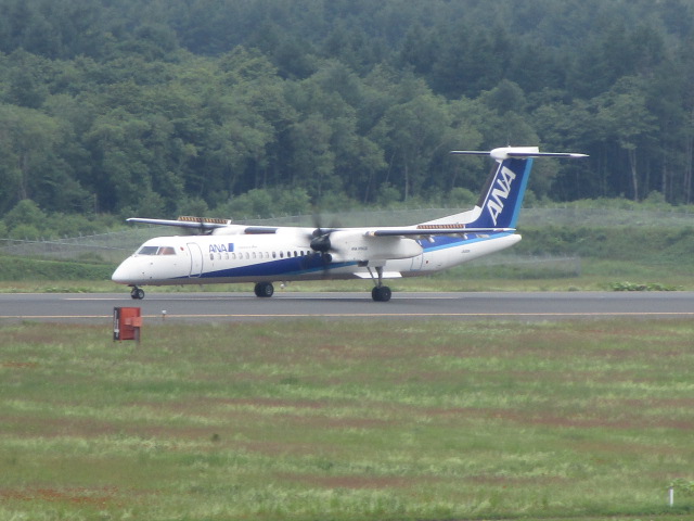 20250627_094114.JPG
