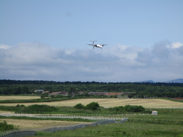 20250628_093640.JPG