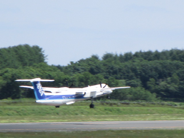 20250628_093932.JPG
