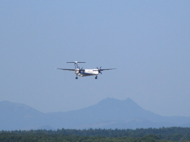 20250629_101837.JPG
