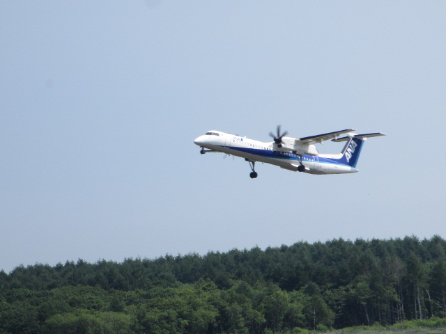 20250629_102014.JPG