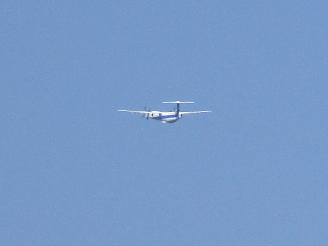 20250629_102032.JPG