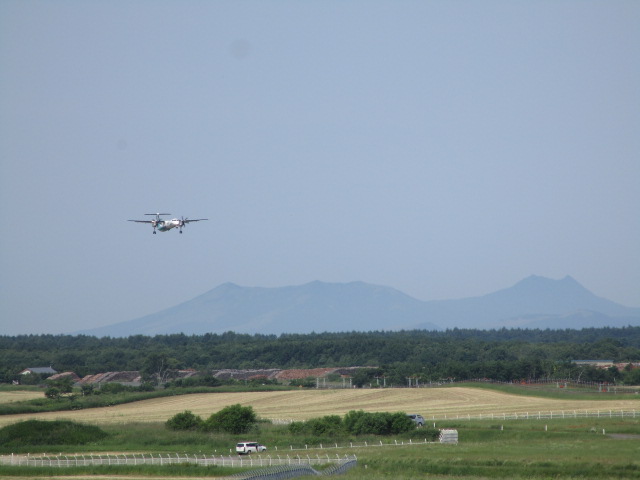 20250630_095255.JPG