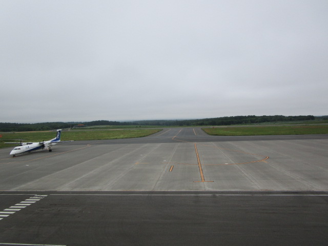 20250702_095026.JPG