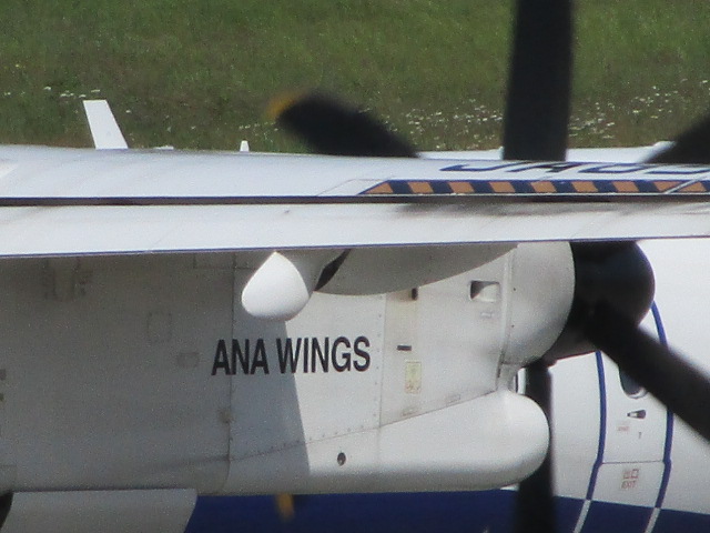 20250705_095142.JPG
