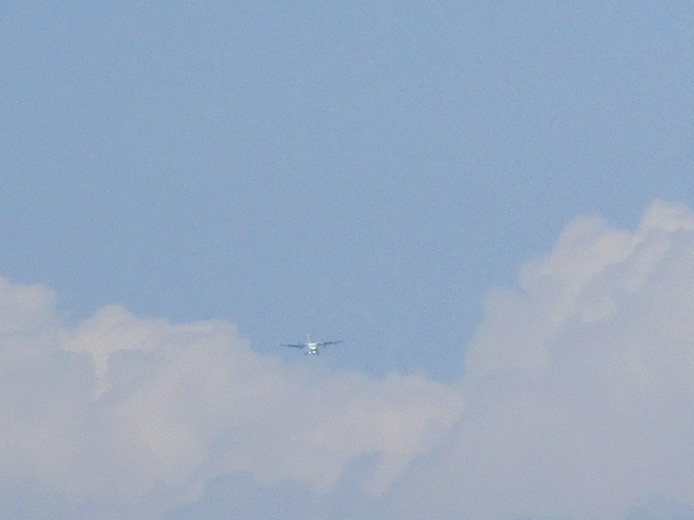 20250705_150448.JPG