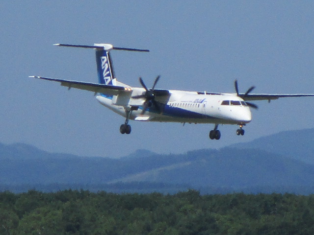 20250708_094856.JPG