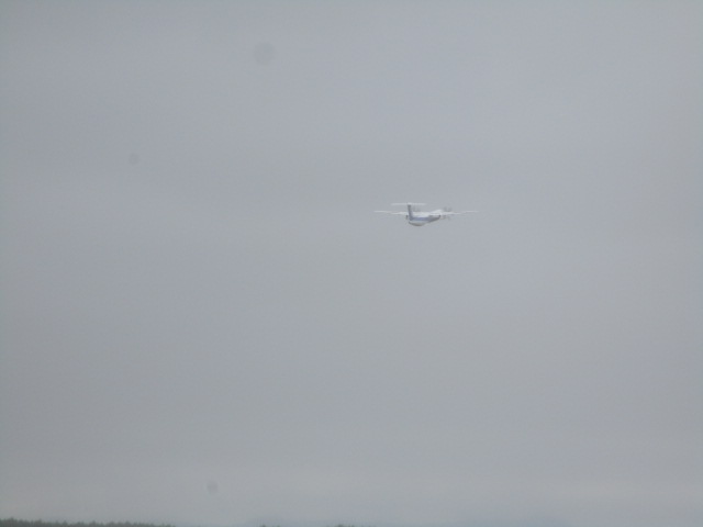 20250710_103145.JPG