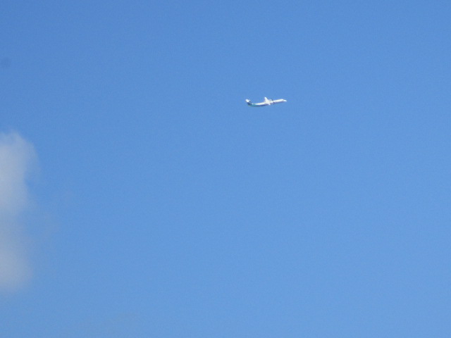 20250711_141836.JPG