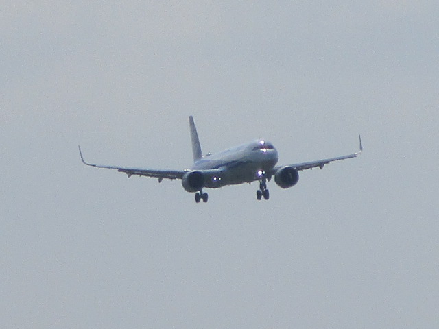 20250711_143623.JPG