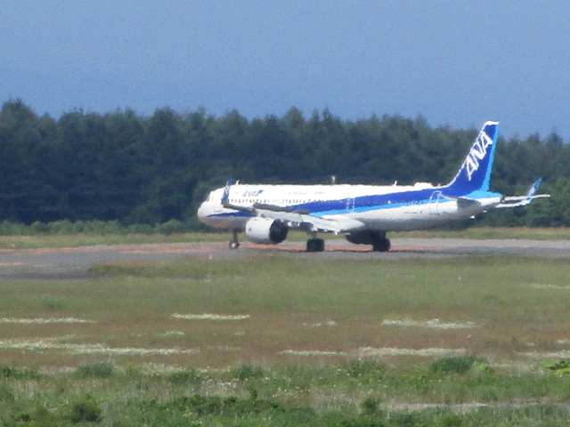 20250711_143752.JPG