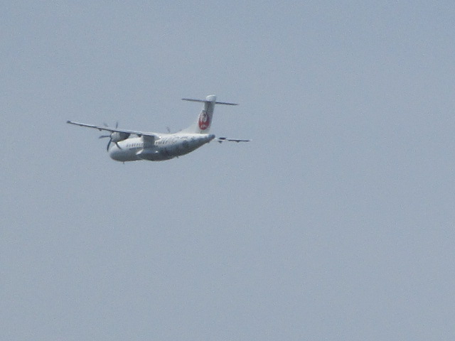 20250713_122247.JPG