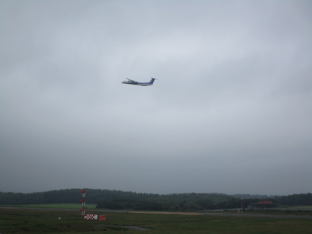 20250714_094126.JPG
