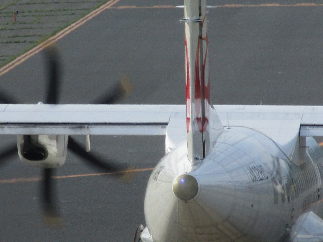 20250717_164544.JPG