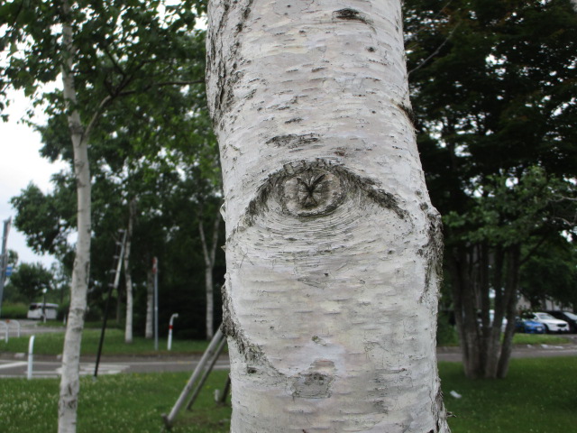 20250718_100348.JPG