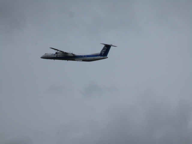20250719_094757.JPG