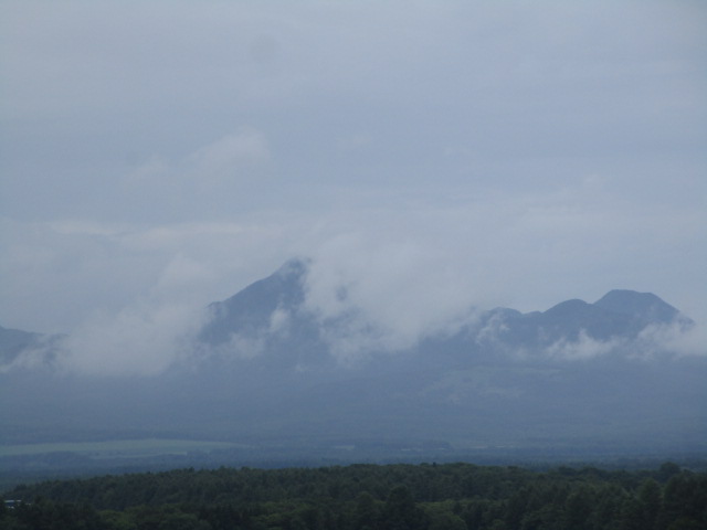 20250720_115427.JPG