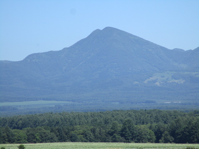 20250722_094135.JPG