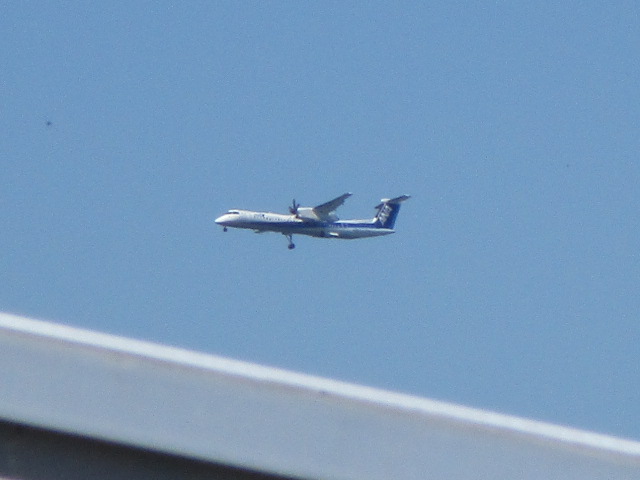 20250722_094212.JPG