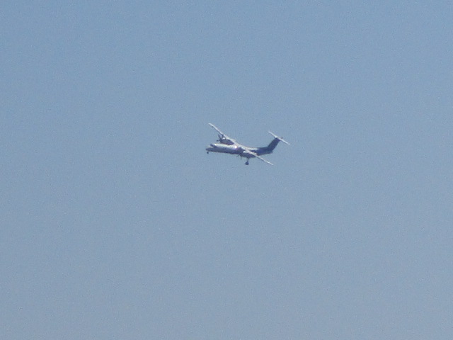 20250722_094238.JPG