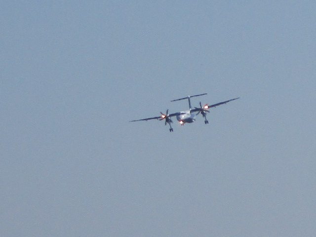 20250722_094254.JPG