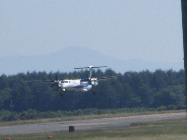 20250722_094310.JPG