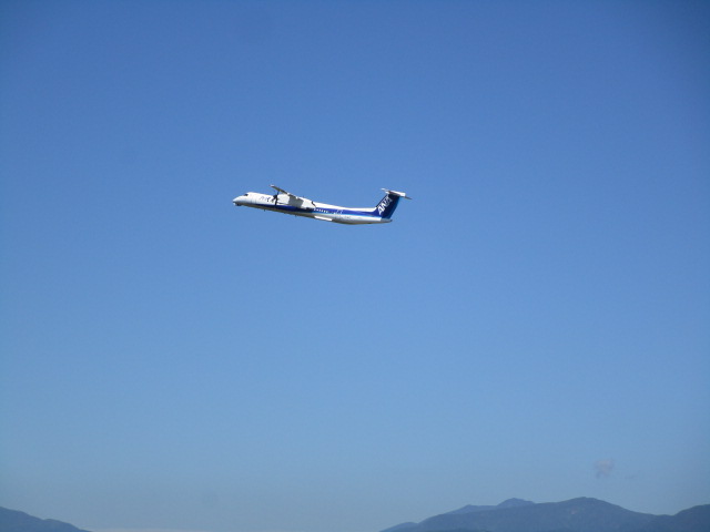 20250722_094546.JPG