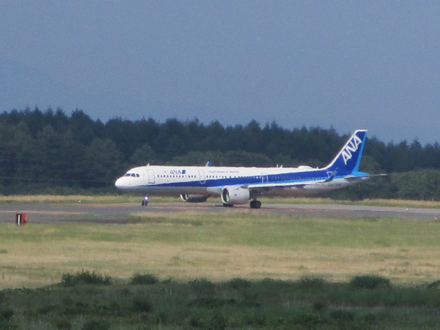 20250722_153057.JPG