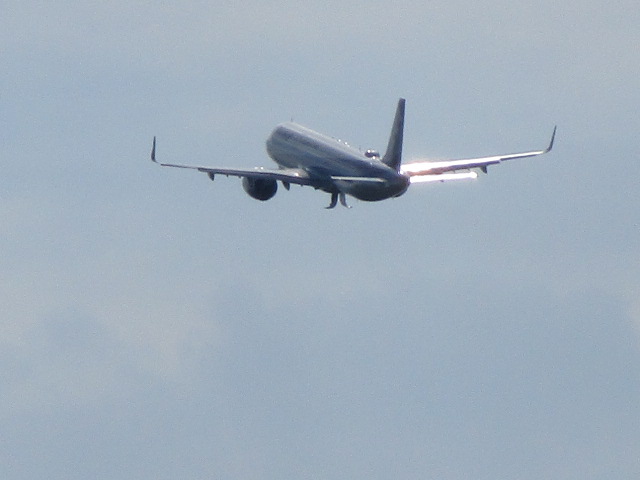 20250722_153150.JPG