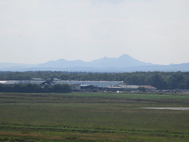 20250722_154109.JPG