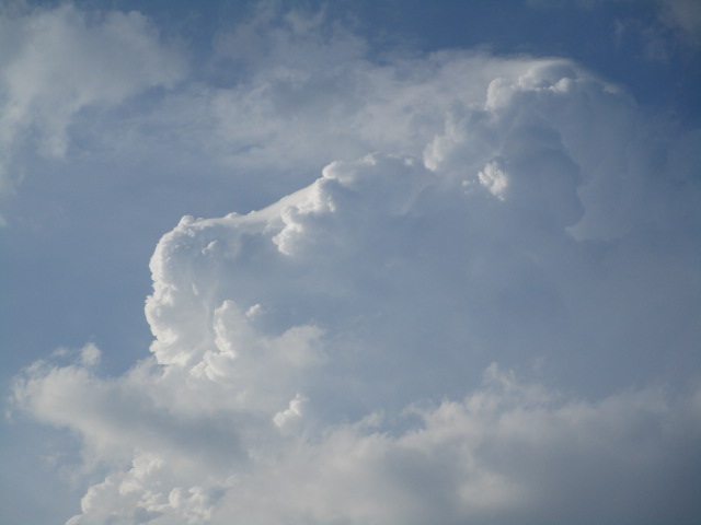 20250722_165907.JPG