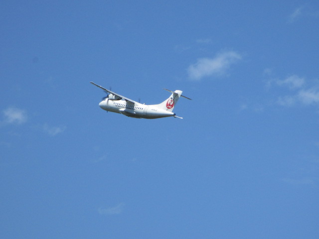 20250724_155528.JPG