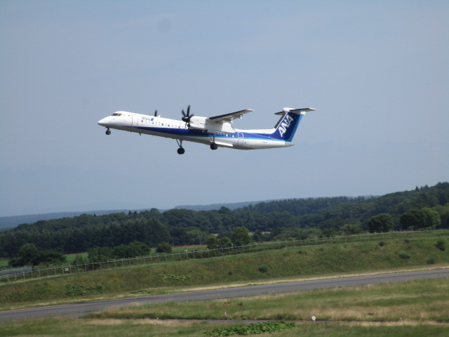 20250725_100145.JPG
